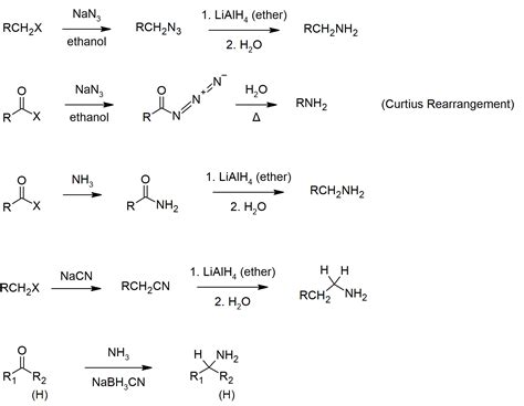 24s Amines And Heterocycles Summary Chemistry Libretexts