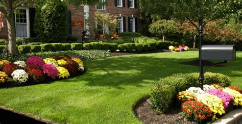 No # of trees and shrubs. Lawn Maintenance Buford Georgia - NLO Landscapes Landscape ...
