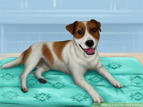 This programme enables singaporeans to join the maritime industry as coc (class 3) deck. How to Train Your Dog to Place: 10 Steps (with Pictures)
