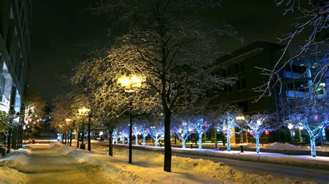 Wallpaper Trees Street Light City Cityscape Night Park Snow