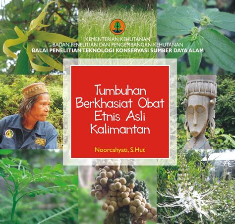 Tumbuhan Berkhasiat Obat Etnis Asli Kalimantan BPSILHK SAMBOJA