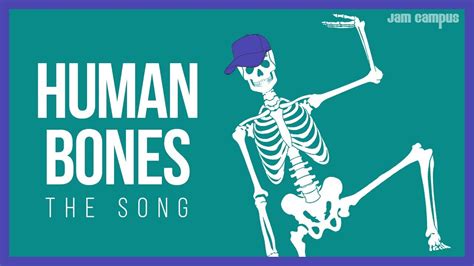 Raps About Human A And P Muscle The Human Bones Song Science Music