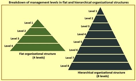 Comparison Between Hierarchical And Flat Organization Structures