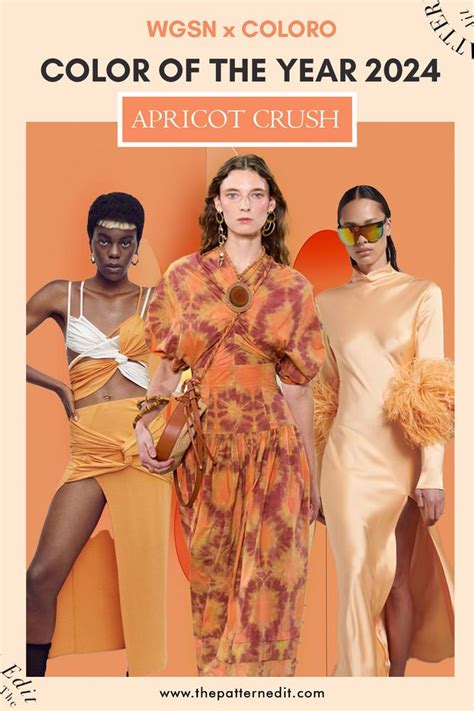 2024 Color Of The Year Apricot Color Ollie Atalanta