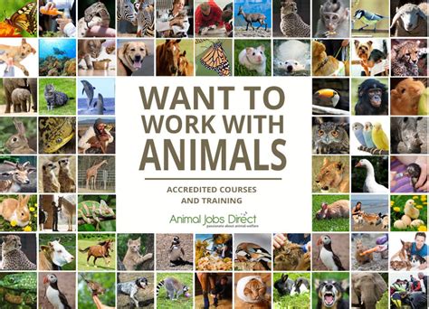 Looking into it, it seems like a. Work with Animals at Animal Welfare Wildlife and ...