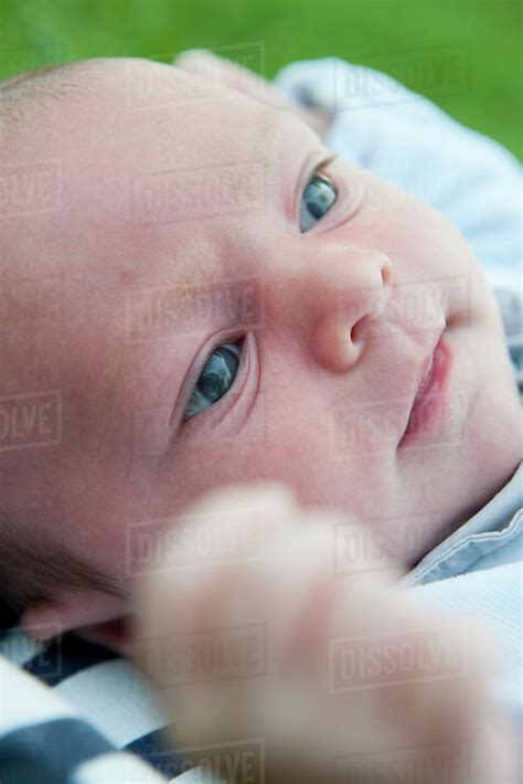 Baby Boy Portrait Stock Photo Dissolve