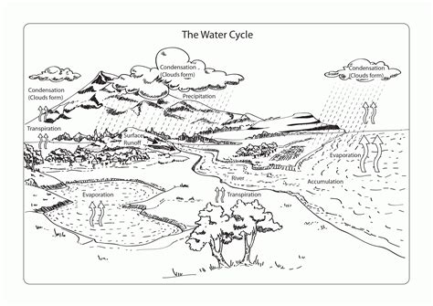 We've got sports coloring pages for all ages. Coloring Page Water Cycle - Coloring Home