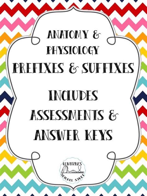 Anatomy And Physiology Prefix And Suffix Bundle Prefixes And