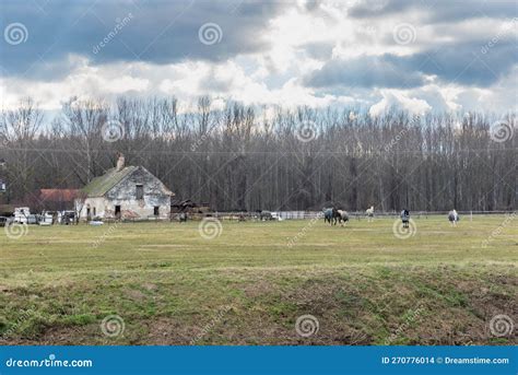 Old Horse Farm With Rural Houses And Horses Grazing In The Field Stock
