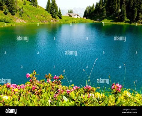 Lake Lioson Canton De Vaud Switzerland Stock Photo Alamy