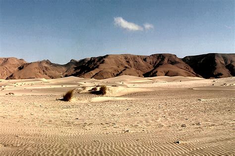 Cc Log Crashing In The Remote Desert American Kodiak