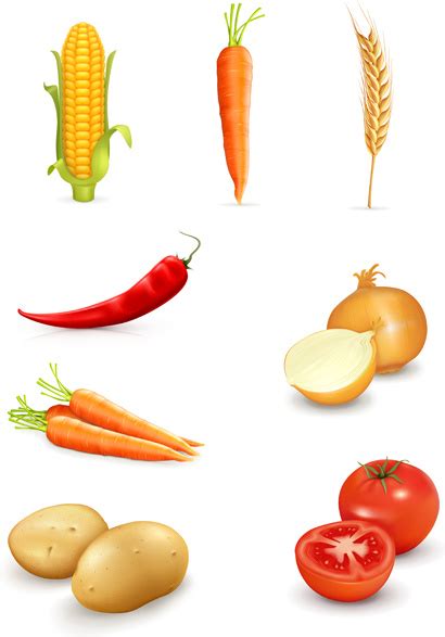Set Of Different Vegetable Mix Vector Vectors Graphic Art Designs In