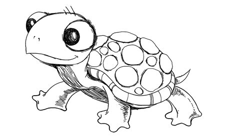 Famous Easy To Draw Animals Turtle 2022 Alexander James Freeman