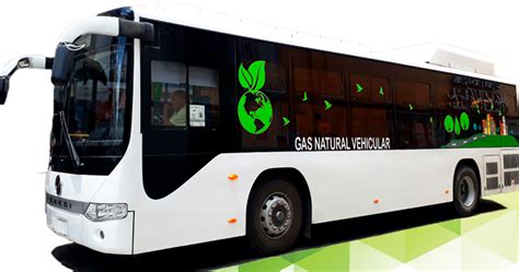A Prueba Transporte Ecol Gico En M Rida Informe Fracto