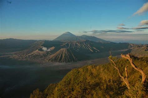 Gunung bromo merupakan salah satu gunung berapi yang masih aktif di jawa timur. Biaya Wisata Bromo Naik Mobil Pribadi yang lagi Ngetrend | Gerai News