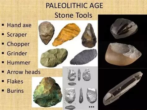 💣 Comparison Between Paleolithic And Neolithic Age Similarities