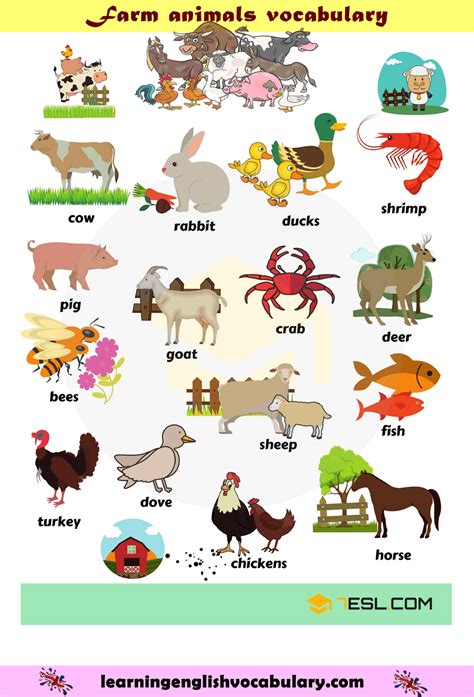 Animals Name In Hindi And English With Photo Pdf