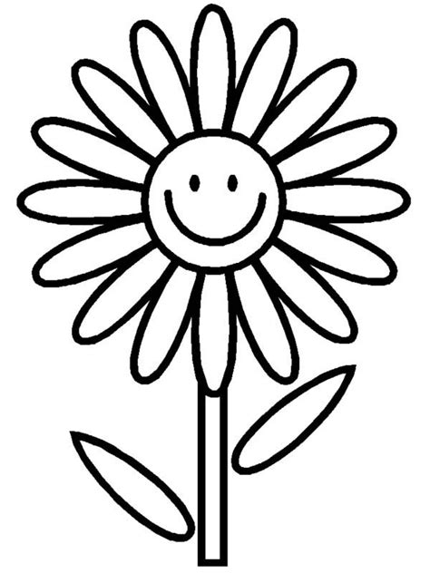 Daisy Flower Outline Clipart Best