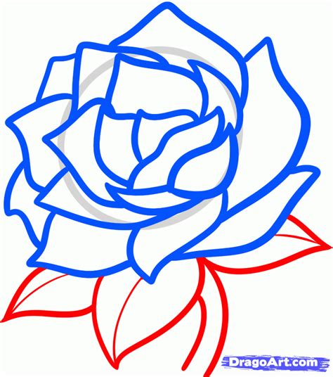 how to draw a gardenia step 6 | Drawings, Flower drawing ...