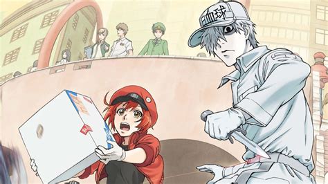 Cells At Work New Manga Gets A Release Date Story Launch And More