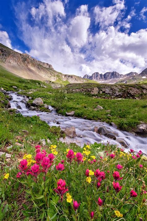 American Basin Wildflowers Beautiful Landscapes Beautiful Places