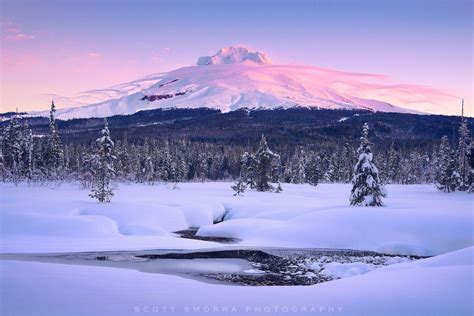 Winter Tranquility Sunrise Alpenglow Illuminating Mt Hood And A