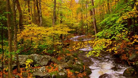 A Scenic Rocky River In The Appalachian Mountains During