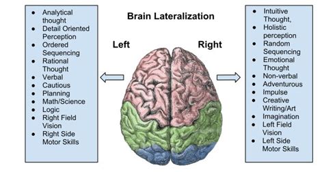 Working Of Mind Mechanism For Thinking Wrytin