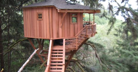 'Treehouse Masters' fined for illegal treehouse in Oregon