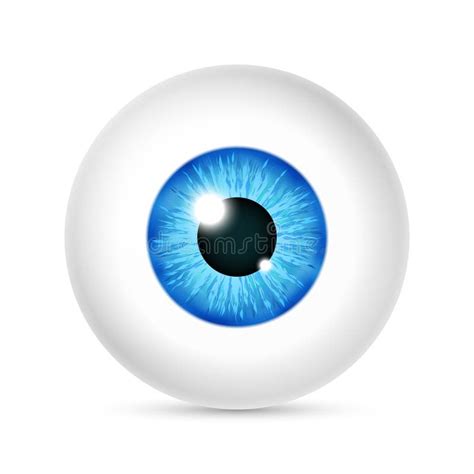 Set Of Realistic Human Eye Ball With Colorful Pupil Iris Vector