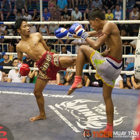 fighting thai tiger muay thai and mma training camp guest fights july 3 2013