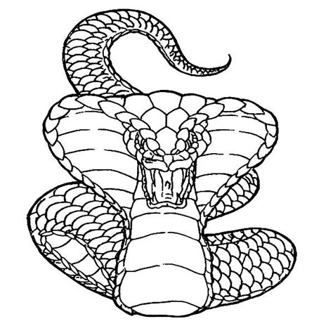 It doesn't matter if you're a loser, or a nerd, or a freak! King Cobra Deadly Attack Coloring Pages : Kids Play Color ...