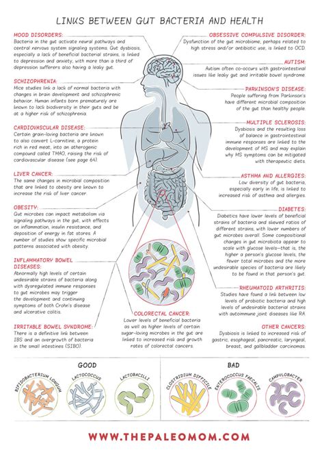 What Is The Gut Microbiome And Why Should We Care About It