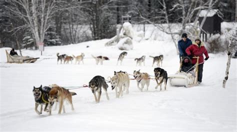 All Mush Dog Sledding Trips In Maine 4 Day Mahoosuc Guide Service