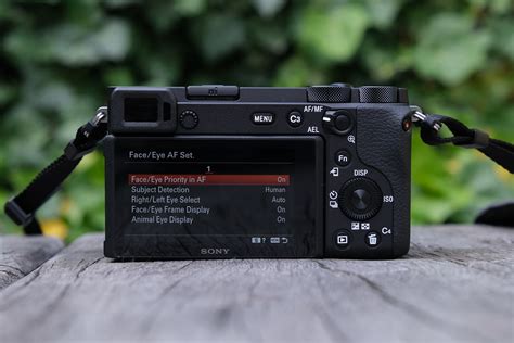 As many improvements as the a6600 offers over its predecessors, and its more affordable siblings, there are still a few shortcomings. Sony A6600 first look review | Trusted Reviews