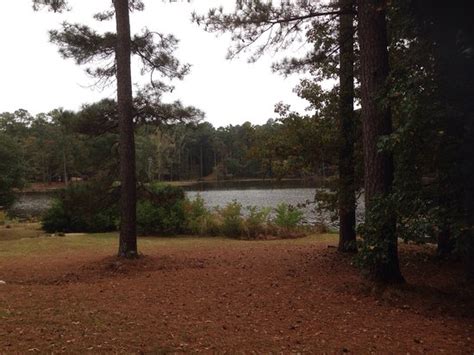 Hours may change under current circumstances Roosevelt State Park - Campground Reviews (Morton, MS ...
