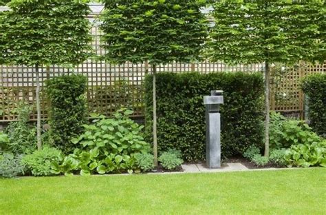 Grundsätzlich geht man beim modernen sichtschutz im garten von einer geraden und ruhigen linienführung aus. Image result for sichtschutz garten | Garten bepflanzen ...