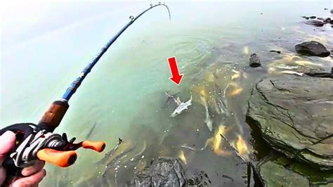 Valdez Silver Salmon Shore Fishing In Alaska Youtube