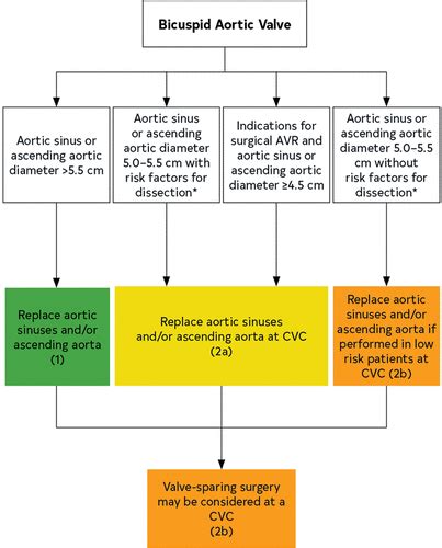 Aortic Valve Replacement Criteria Doctorvisit