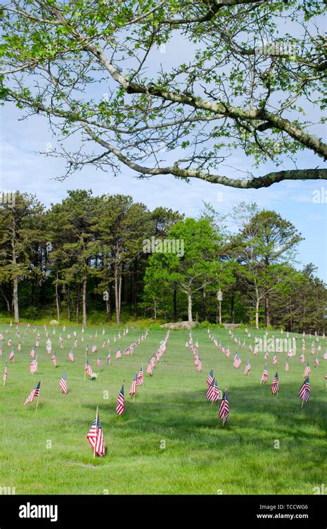 National Cemetery In Bourne Massachusetts With American Flags Placed On Each Grave Marker For