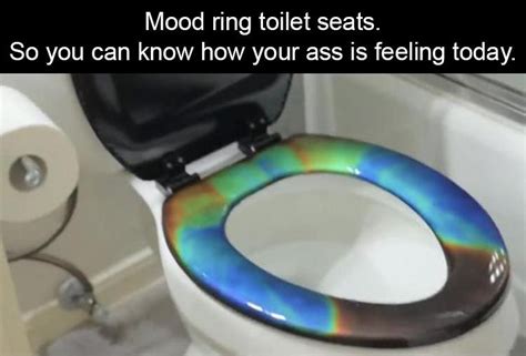 Warm Toilet Seat Meme Photos Cantik