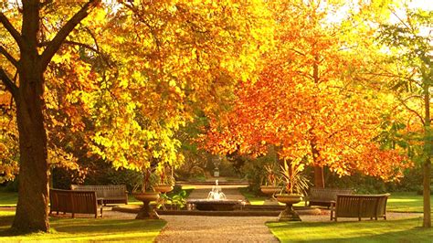 Beautiful Botanic Garden Autumn Wallpapers Desktop