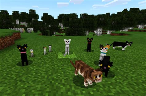 Maybe you would like to learn more about one of these? Cuter Vanilla Animals - Resource Pack Minecraft PE 1.16, 1 ...