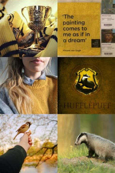 Lilyanna13 Hogwarts Houses Aesthetics Hufflepuff Harry Potter