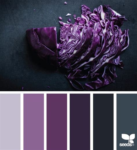 Black Colour Combination With Dark Purple Purple Color Schemes