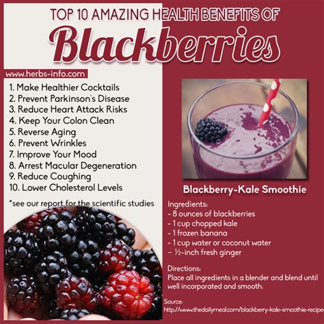 Top 10 Amazing Health Benefits Of Blackberries Healthy Healthy