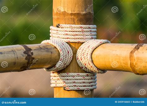 Rope Tied Knot At Bamboo Wood Stock Image Image Of Bundle Stick