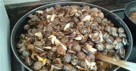 Están ya limpios y escaldados. Recetas de caracoles - 167 recetas - Cookpad