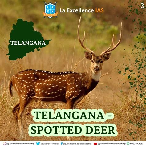 Top 129 National Animal Of Telangana