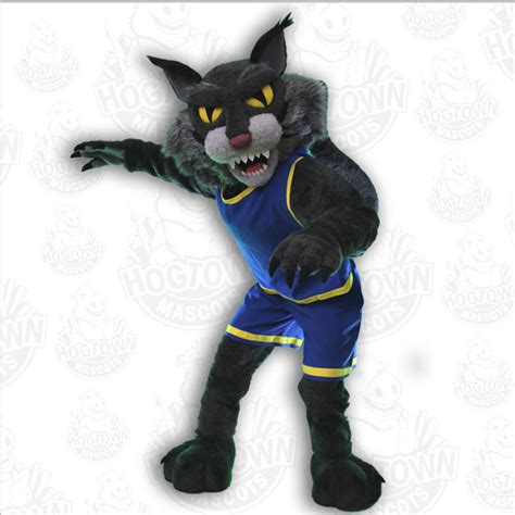 5 Best High School Mascot Costumes For Roaring School Spirit Custom